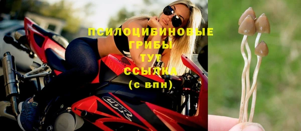 индика Богородицк