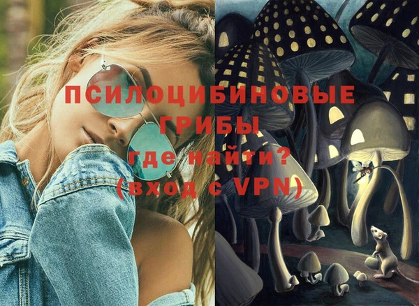 синтетический гашиш Богородск