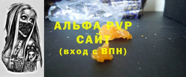 индика Богородицк