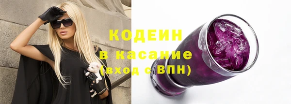 индика Богородицк