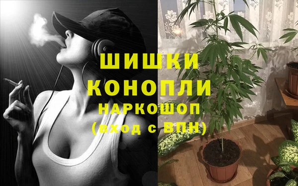дживик Богданович