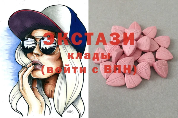 индика Богородицк