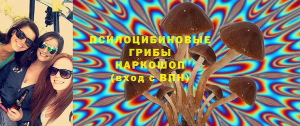 синтетический гашиш Богородск