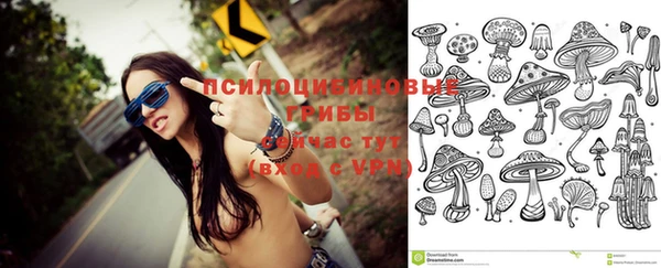 Альфа ПВП Бронницы