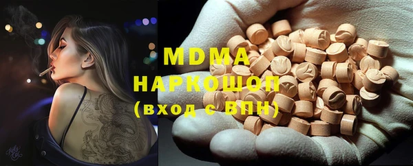 индика Богородицк