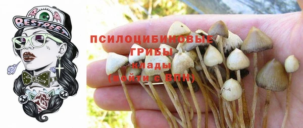 индика Богородицк