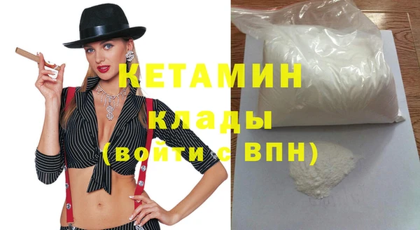 индика Богородицк