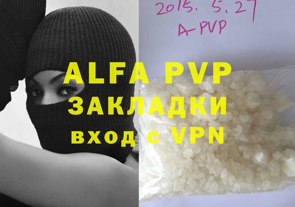 индика Богородицк