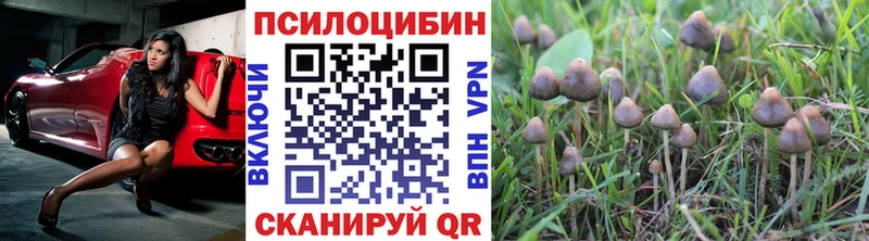 MEGA сайт  Можайск  Псилоцибиновые грибы мицелий 